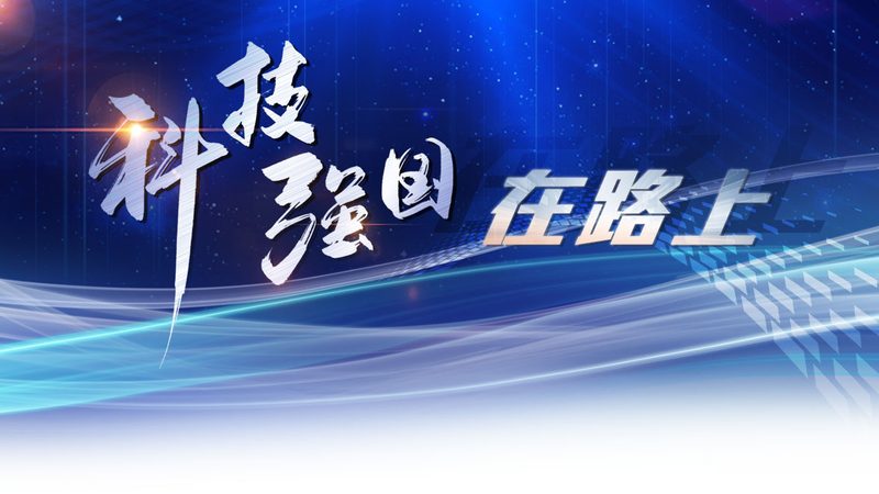 上海CRM系统：功能解析与选型要点